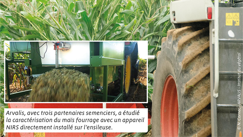 Des outils de mesures de la composition du maïs fourrage au champ