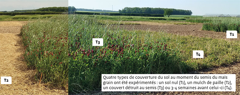 Impact d'un couvert sur la disponibilité en eau