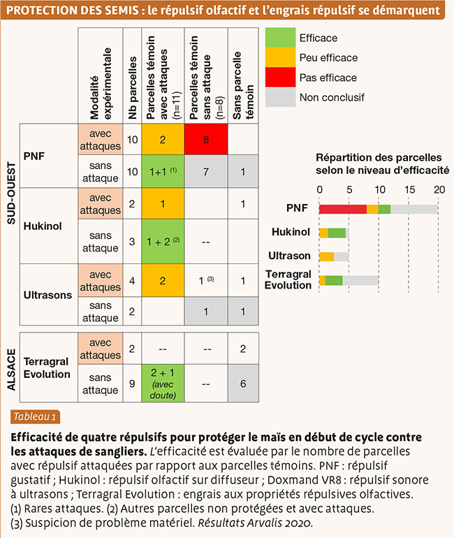 Les répulsifs anti-sanglier, quelle efficacité ?