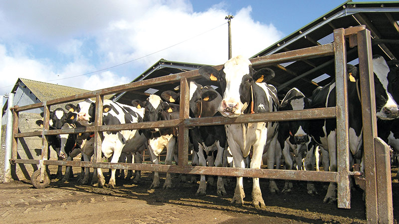 Potentiel de stockage du carbone et émissions de GES en agriculture