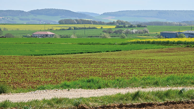 La méthode Label Bas-Carbone « Grandes cultures » a été approuvée