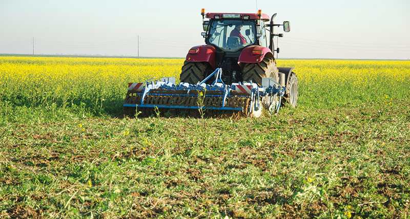 Scores environnementaux des biodiesels de colza et de tournesol.