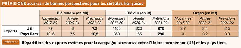 PRÉVISIONS 2021-22 : de bonnes perspectives pour les céréales françaises