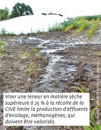 Viser une teneur en matière sèche supérieure à 25 % à la récolte de la CIVE limite la production d’effluents d’ensilage, méthanogènes, qui doivent être valorisés.