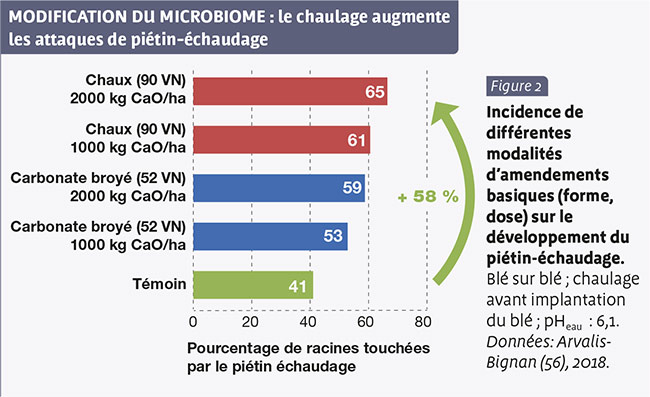 MODIFICATION DU MICROBIOME : le chaulage augmente les attaques de piétin-échaudage