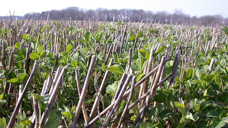 Les ambitions de l'agroécologie en agriculture
