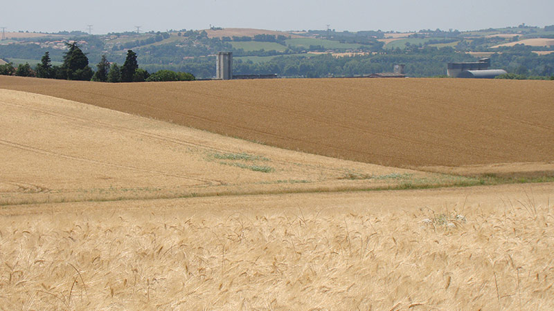 Scénarios d'adaptation au changement climatique dans le Sud-Ouest