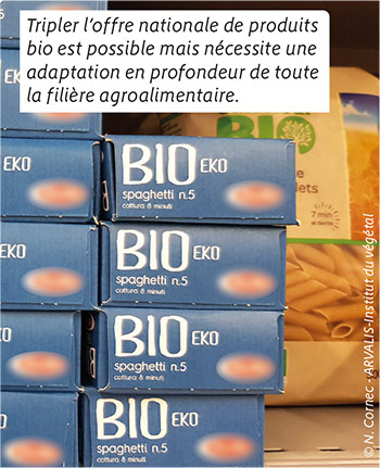 Tripler l’offre nationale de produits bio est possible mais nécessite une adaptation en profondeur de toute la filière agroalimentaire.