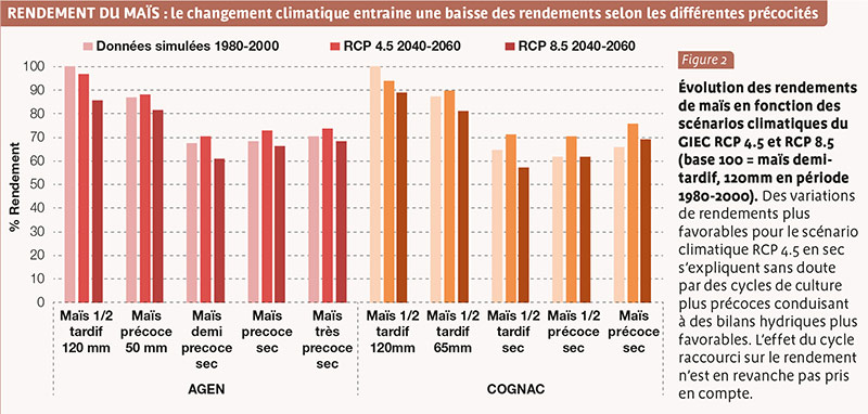 RENDEMENT DU MAÏS : le changement climatique entraine une baisse des rendements selon les différentes précocités