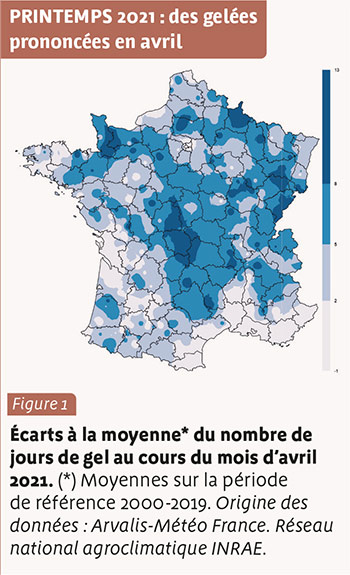 PRINTEMPS 2021 : des gelées prononcées en avril