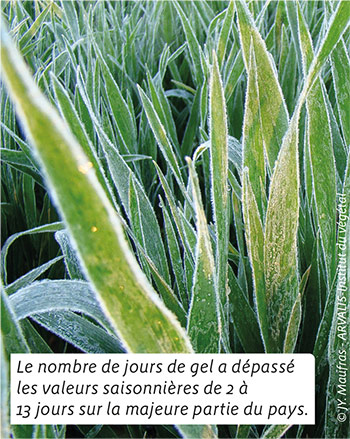 Le nombre de jours de gel a dépassé les valeurs saisonnières de 2 à 13 jours sur la majeure partie du pays.