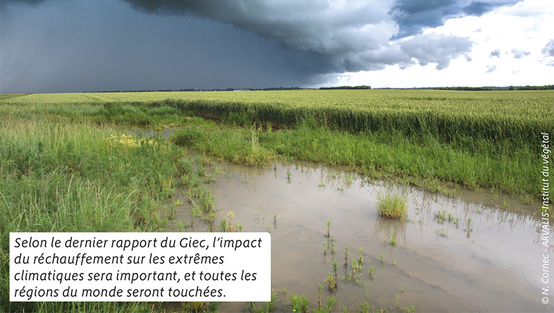 Selon le dernier rapport du Giec, l’impact du réchauffement sur les extrêmes climatiques sera important, et toutes les régions du monde seront touchées.