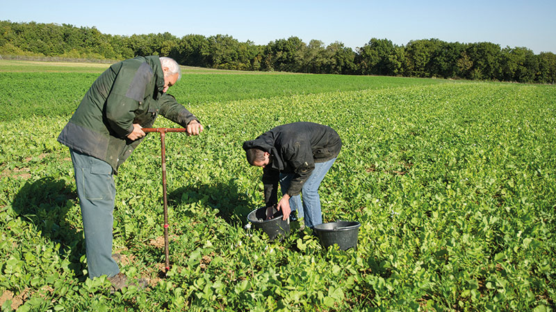 Les processus du fonctionnement racinaire