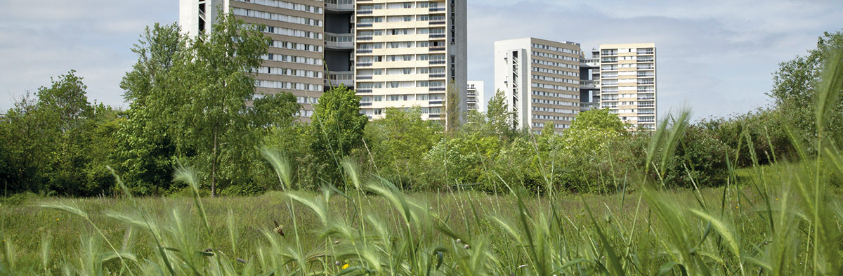 Evolutions réglementaires de l'usage des produits phytosanitaires