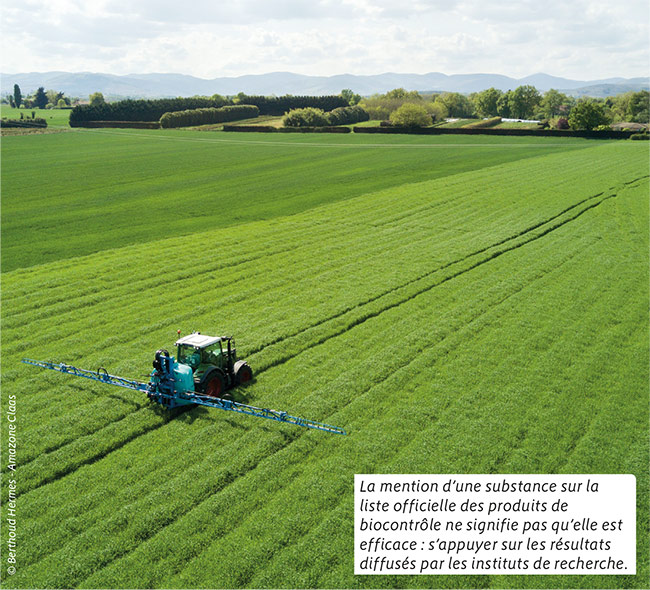 La mention d’une substance sur la liste officielle des produits de biocontrôle ne signifie pas qu’elle est efficace : s’appuyer sur les résultats diffusés par les instituts de recherche.