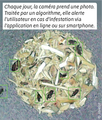 Chaque jour, la caméra prend une photo. Traitée par un algorithme, elle alerte l’utilisateur en cas d’infestation via l’application en ligne ou sur smartphone.