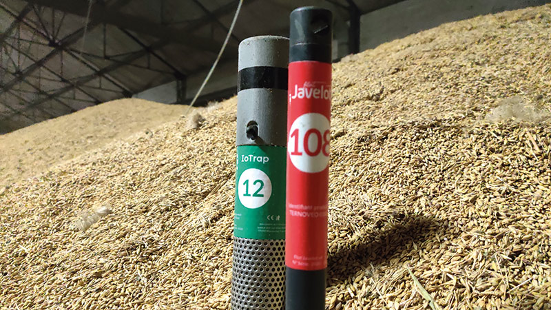 Des pièges connectés pour surveiller les insectes dans les silos