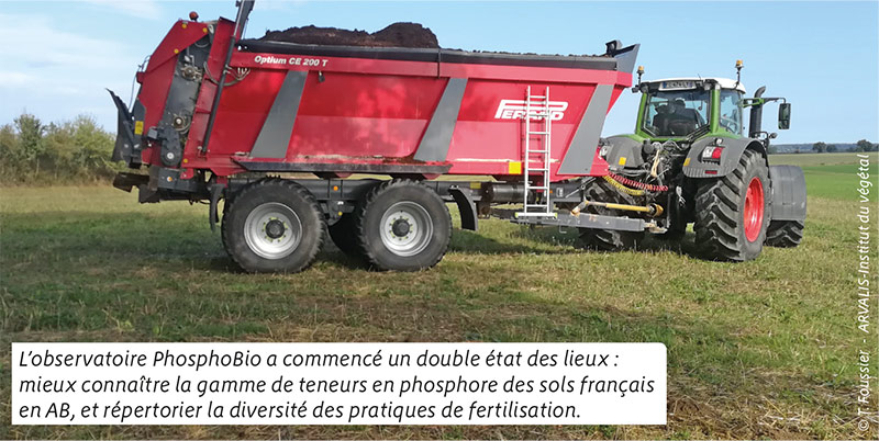 L’observatoire PhosphoBio a commencé un double état des lieux : mieux connaître la gamme de teneurs en phosphore des sols français en AB, et répertorier la diversité des pratiques de fertilisation.