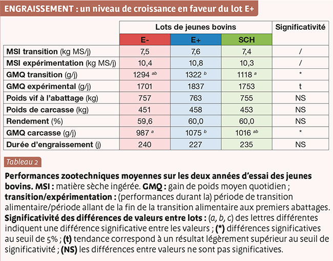 ENGRAISSEMENT : un niveau de croissance en faveur du lot E+