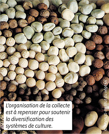 L’organisation de la collecte est à repenser pour soutenir la diversification des systèmes de culture.