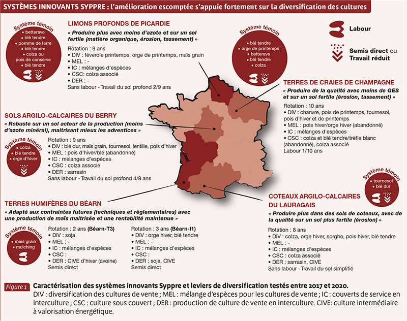 SYSTÈMES INNOVANTS SYPPRE : l’amélioration escomptée s’appuie fortement sur la diversification des cultures 
