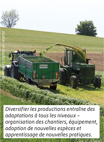 Diversifier les productions entraîne des adaptations à tous les niveaux – organisation des chantiers, équipement, adoption de nouvelles espèces et apprentissage de nouvelles pratiques.