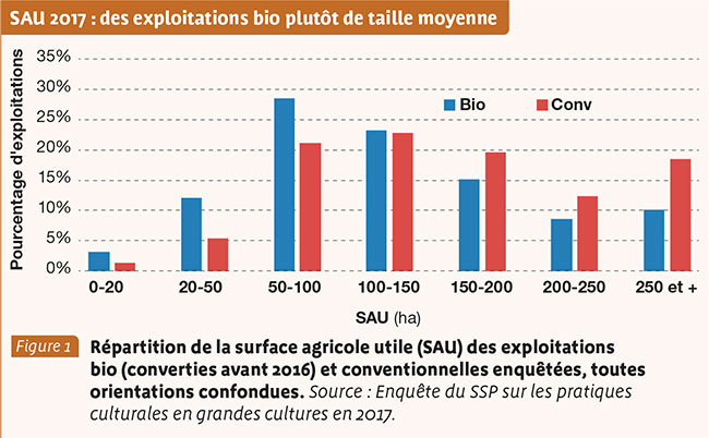 SAU 2017 : des exploitations bio plutôt de taille moyenne