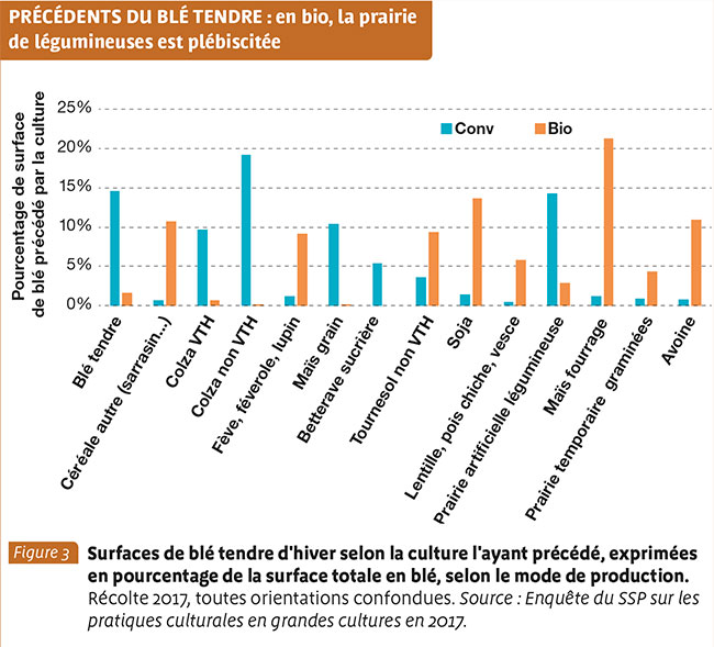 PRÉCÉDENTS DU BLÉ TENDRE : en bio, la prairie de légumineuses est plébiscitée