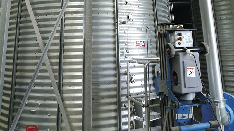 Test de modalités de stockage avec ou sans insecticides chimiques
