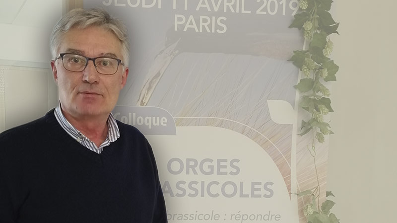 Les atouts de l'orge de printemps