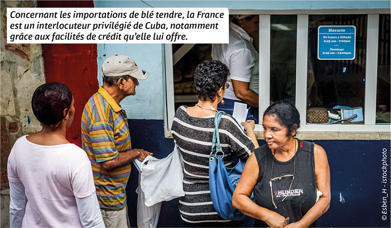 Concernant les importations de blé tendre, la France est un interlocuteur privilégié de Cuba, notamment grâce aux facilités de crédit qu’elle lui offre.