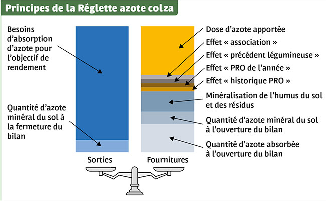 Principes de la Réglette azote colza 