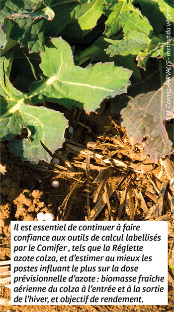 Il est essentiel de continuer à faire confiance aux outils de calcul labellisés par le Comifer , tels que la Réglette azote colza, et d’estimer au mieux les postes influant le plus sur la dose prévisionnelle d’azote : biomasse fraîche aérienne du colza à l’entrée et à la sortie de l’hiver, et objectif de rendement.