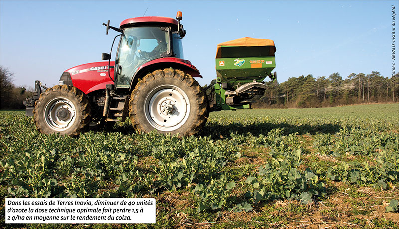 Dans les essais de Terres Inovia, diminuer de 40 unités d’azote la dose technique optimale fait perdre 1,5 à 2 q/ha en moyenne sur le rendement du colza.