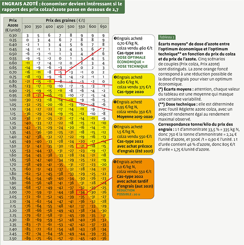 ENGRAIS AZOTÉ : économiser devient intéressant si le rapport des prix colza/azote dépasse 2,7