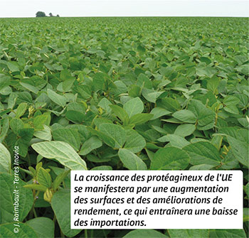 La croissance des protéagineux de l'UE se manifestera par une augmentation des surfaces et des améliorations de rendement, ce qui entraînera une baisse des importations.