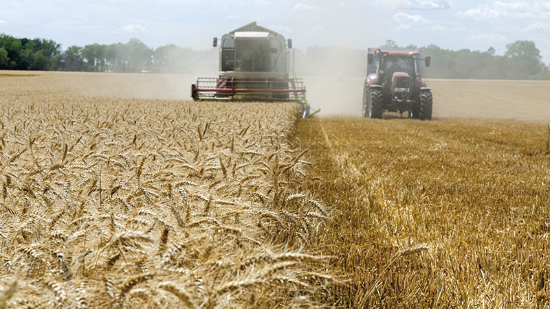 Exploitations agricoles 2020: plus de végétal & de qualité