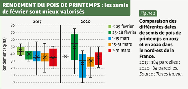 RENDEMENT DU POIS DE PRINTEMPS : les semis de février sont mieux valorisés