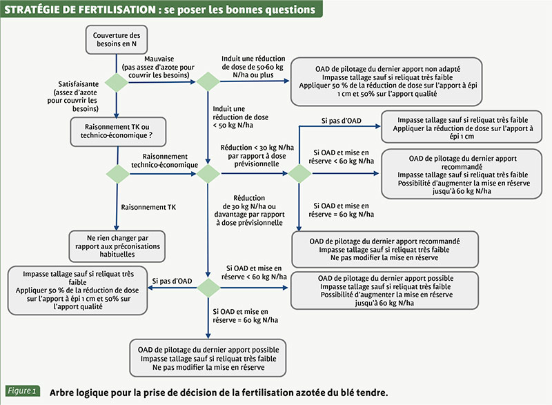 STRATÉGIE DE FERTILISATION : se poser les bonnes questions
