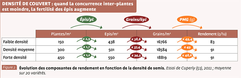 DENSITÉ DE COUVERT : quand la concurrence inter-plantes est moindre, la fertilité des épis augmente