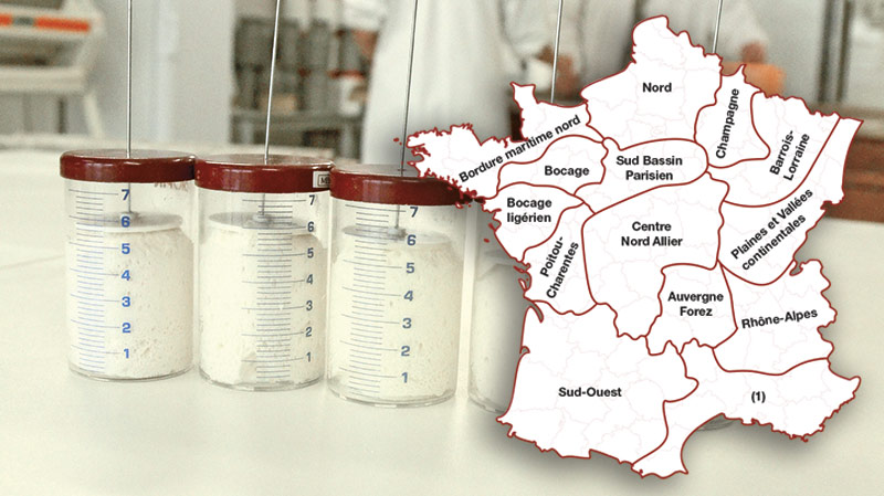 Recommandations régionales pour le choix des variétés de blé tendre