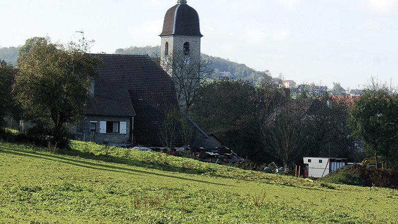 Détruire et rénover une prairie de façon durable