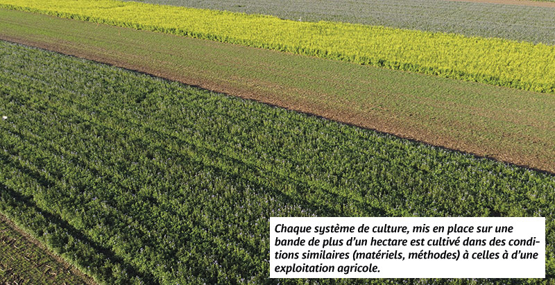 Chaque système de culture, mis en place sur une bande de plus d’un hectare est cultivé dans des conditions similaires (matériels, méthodes) à celles à d’une exploitation agricole.