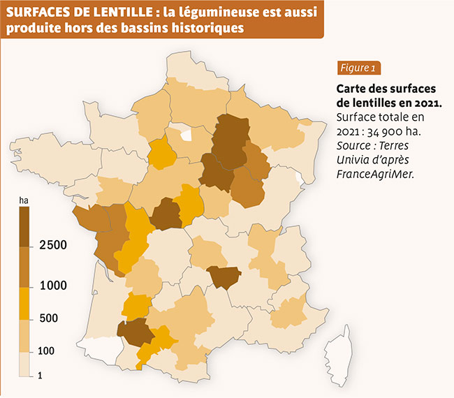 SURFACES DE LENTILLE : la légumineuse est aussi produite hors des bassins historiques 