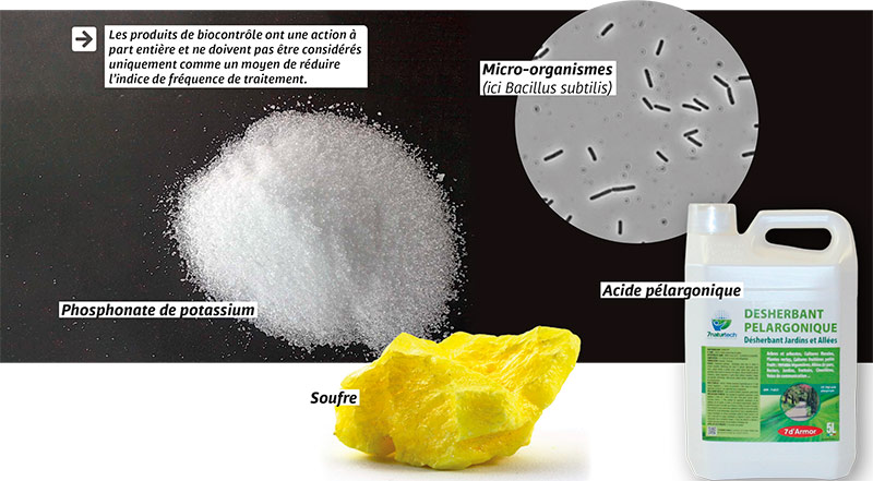Bien régler son pulvérisateur avec des produits de biocontrôle