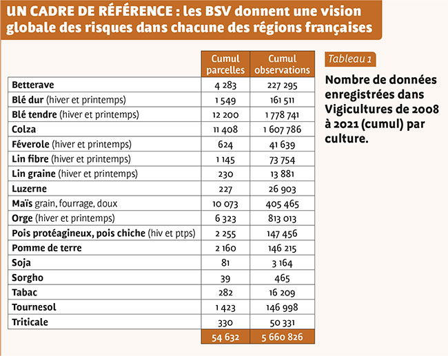 UN CADRE DE RÉFÉRENCE : les BSV donnent une vision globale des risques dans chacune des régions françaises