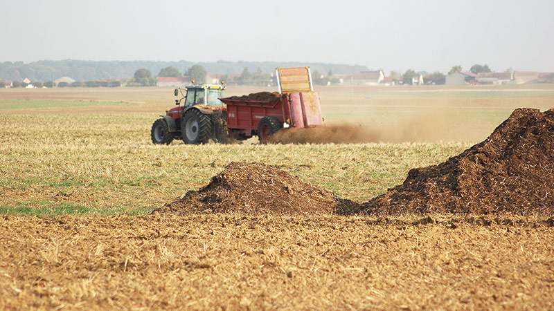 Intérêt à court & long terme de fertiliser les grandes cultures bio