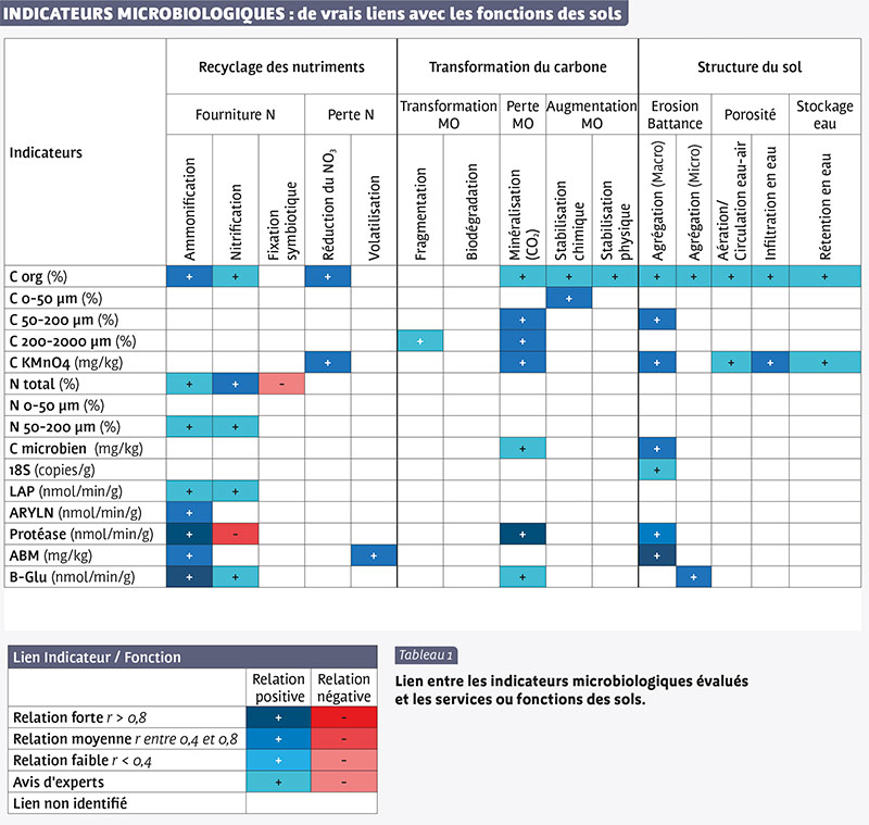 INDICATEURS MICROBIOLOGIQUES : de vrais liens avec les fonctions des sols 