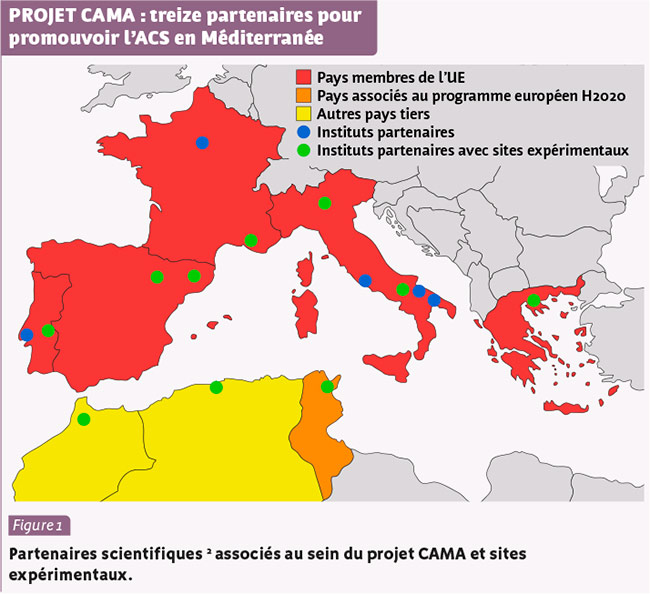 PROJET CAMA : treize partenaires pour promouvoir l’ACS en Méditerranée