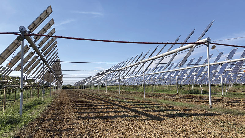 La filière agrivoltaïsme portée par les besoins en énergie